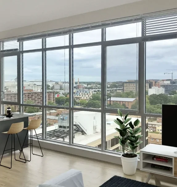 Lex and Leo at Waterfront Station