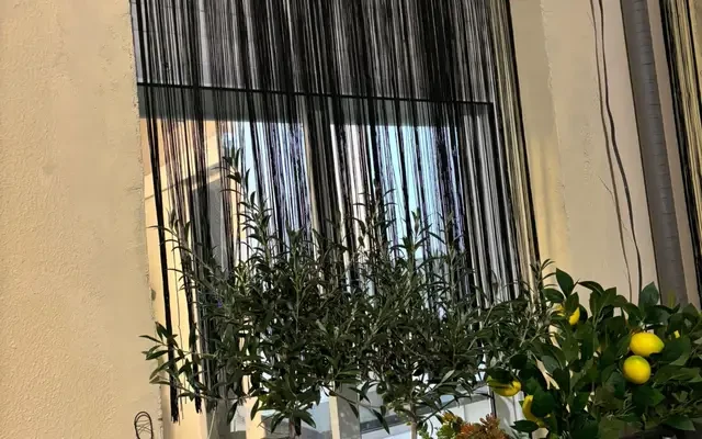 studio in Malasaña and the University area (Central Madrid) 0