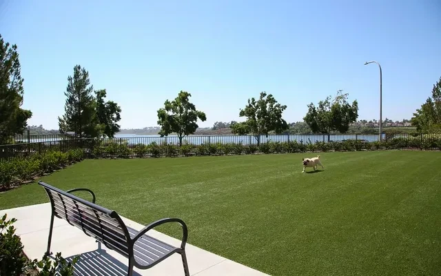 Baypointe 1