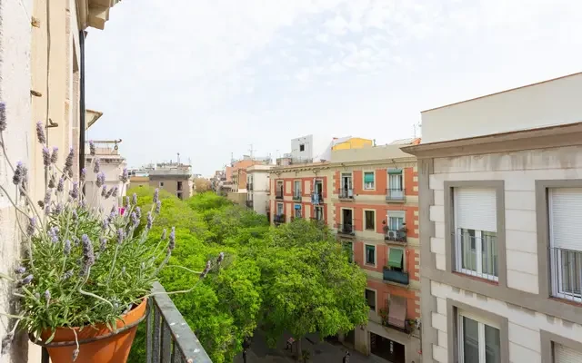 studio in Sant Pere, Santa Caterina and La Ribera (Old Town) 3