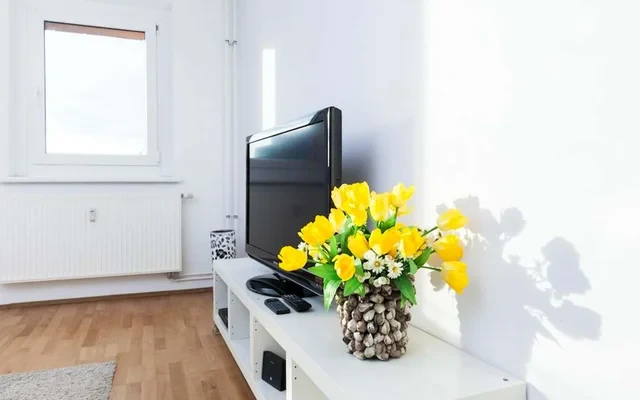 Stylish & spacious apartment near the river 2