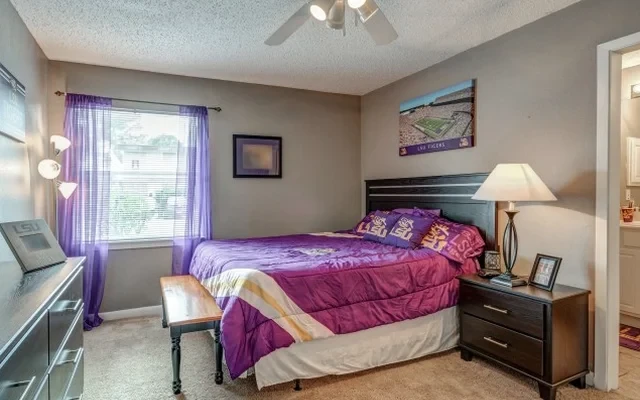 Tiger Plaza Apartments 2