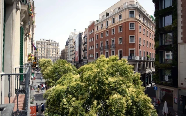 entire place de la Montera 4