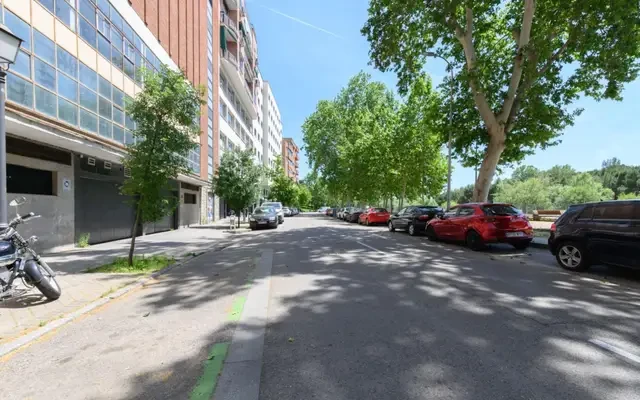 studio in Casa de Campo (Moncloa) 3