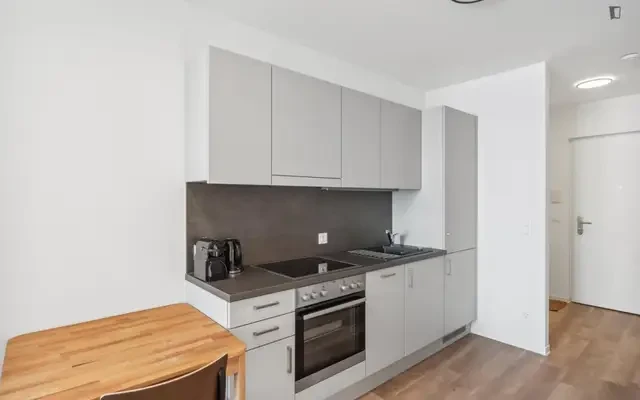 apartment near Waagner-Biro Straße - 감사합니다 학생 숙소