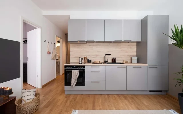 Danakil - 1 bedroom in Mitte 3
