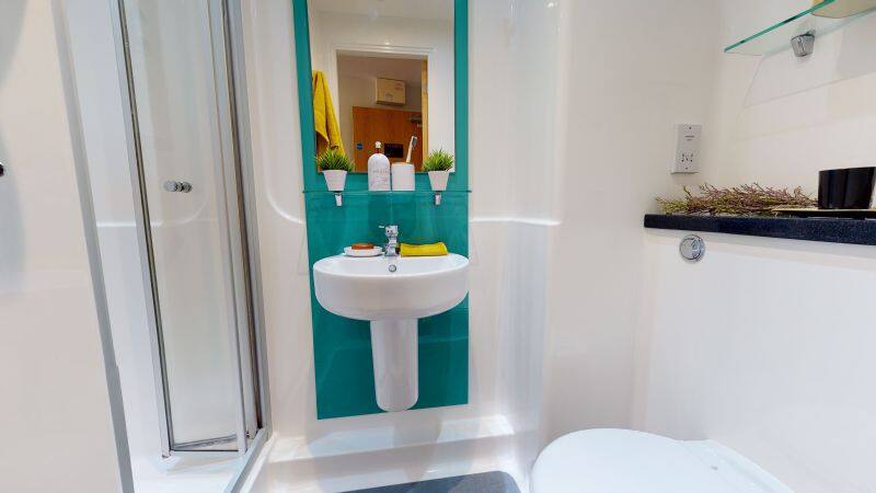 Platinum Studio Plus