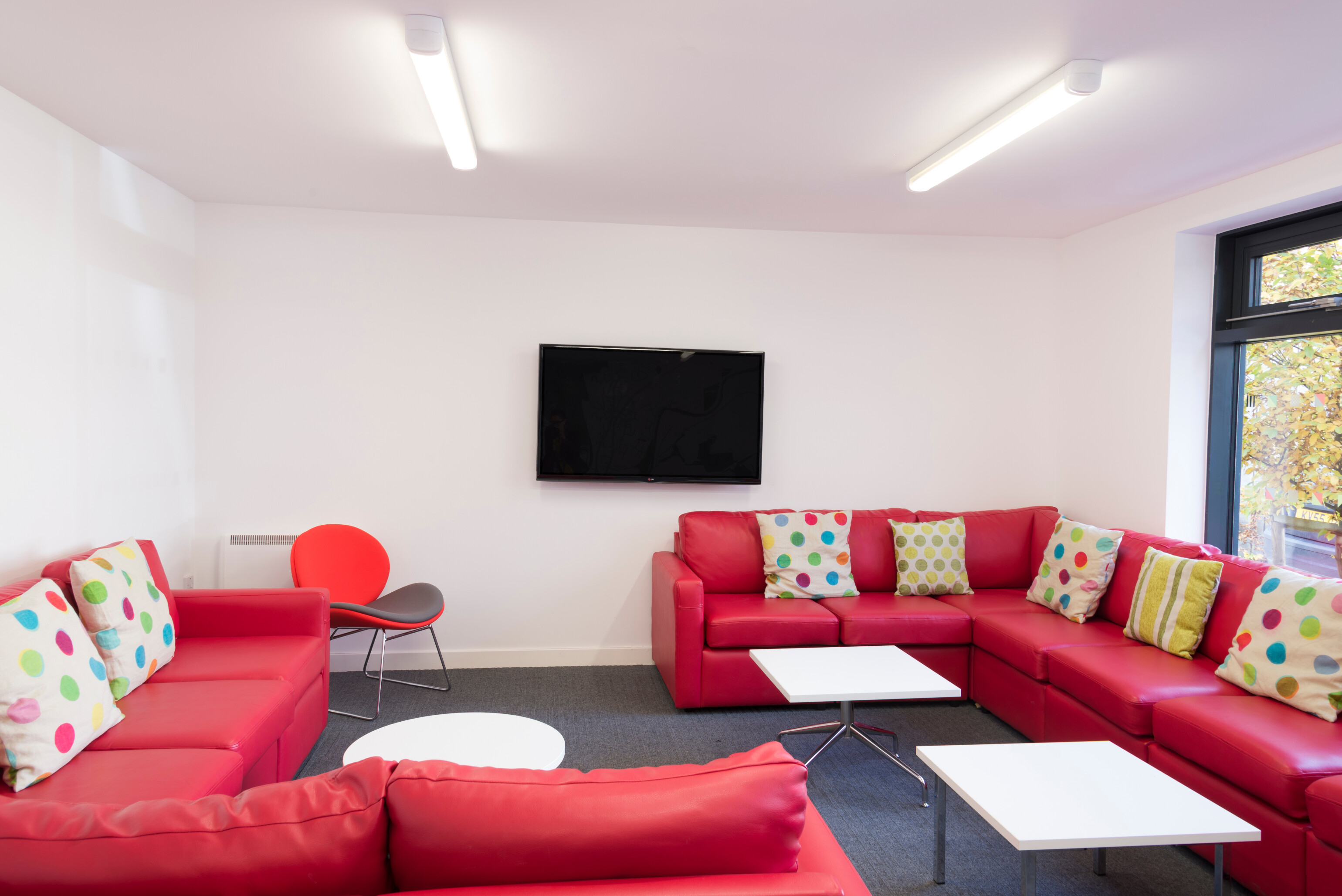 Elvet Studios photo 3