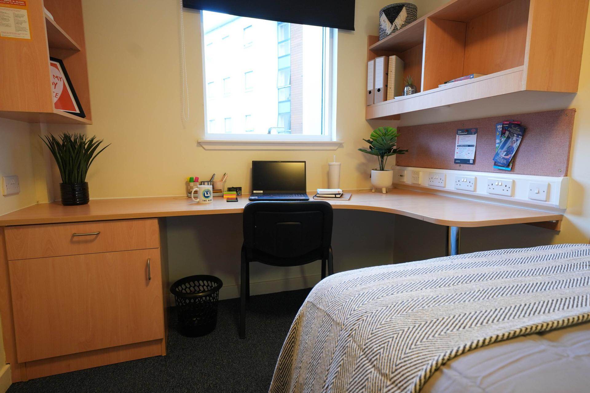 Standard Ensuite (within a 4 bed flat)