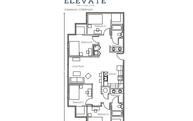 Elevate Bellingham 2