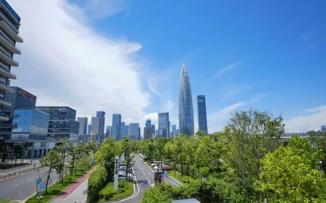 TRUEGO HOTEL X (Shenzhen Bay Port Branch) 3