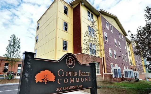Copper Beech Commons 1
