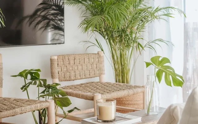 Luxury flat in Valencia city 1