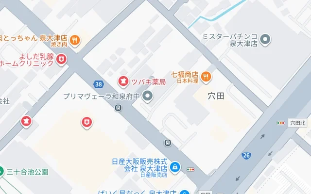 プリマヴェーライズミフチュウ 1