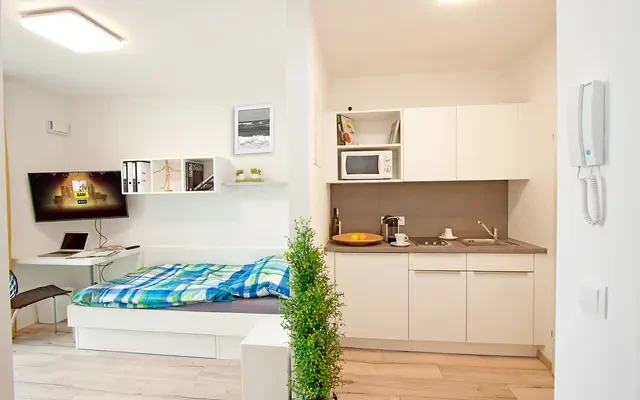 Single Studio in Vienna with Private Kitchen and Bathroom 0