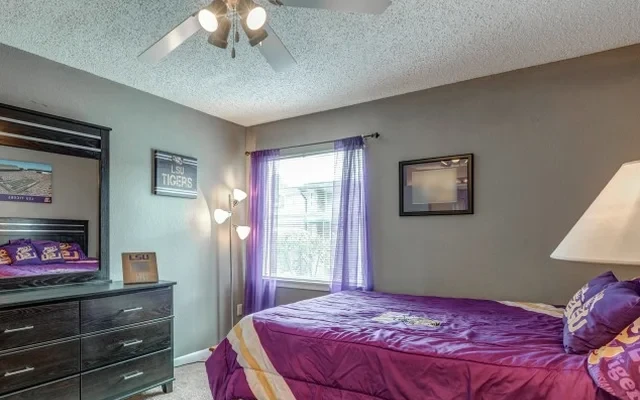 Tiger Plaza Apartments 3