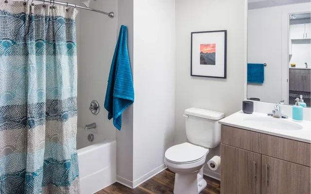 Luxury Housing - Uncommon Fort Collins 4