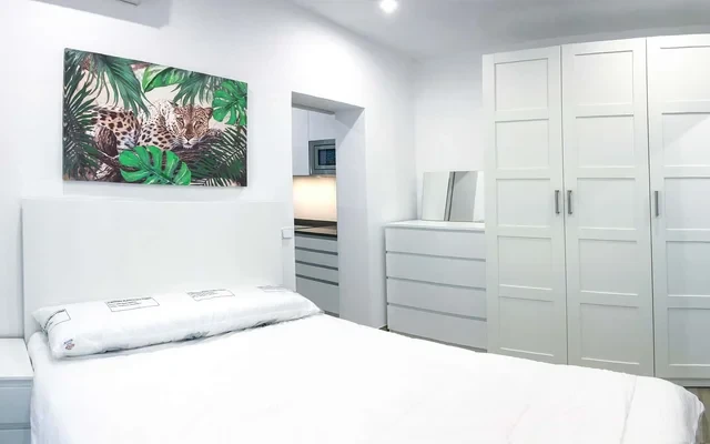 Apartment Calle Sagasta 3