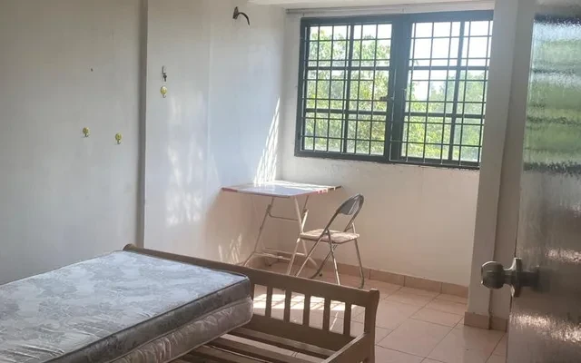 Evergreen Acorn & Hazel 1