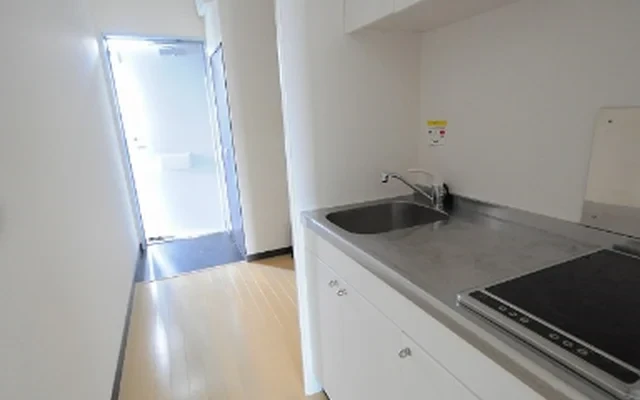 レオネクストレグルス 105号室 3