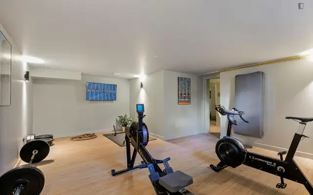 Very cool residence in La Madeleine 1