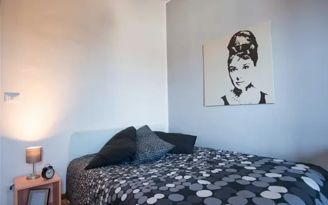 Stunning double bedroom in Turin - トリノ大都市圏の学生向け宿泊施設 - Private Bedroom