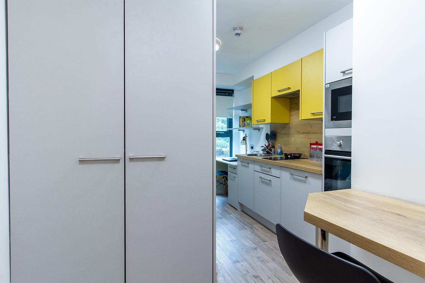 Standard Studio Plus