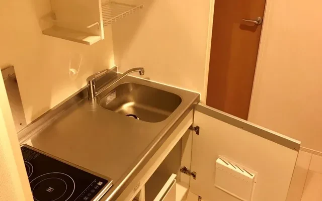 クレイノプルメリア 2