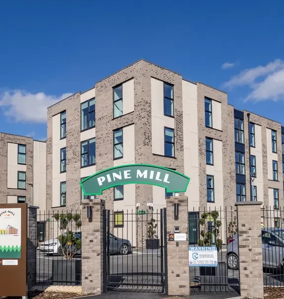 Pine Mill