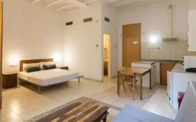 studio in El Raval (Ciutat Vella) 0