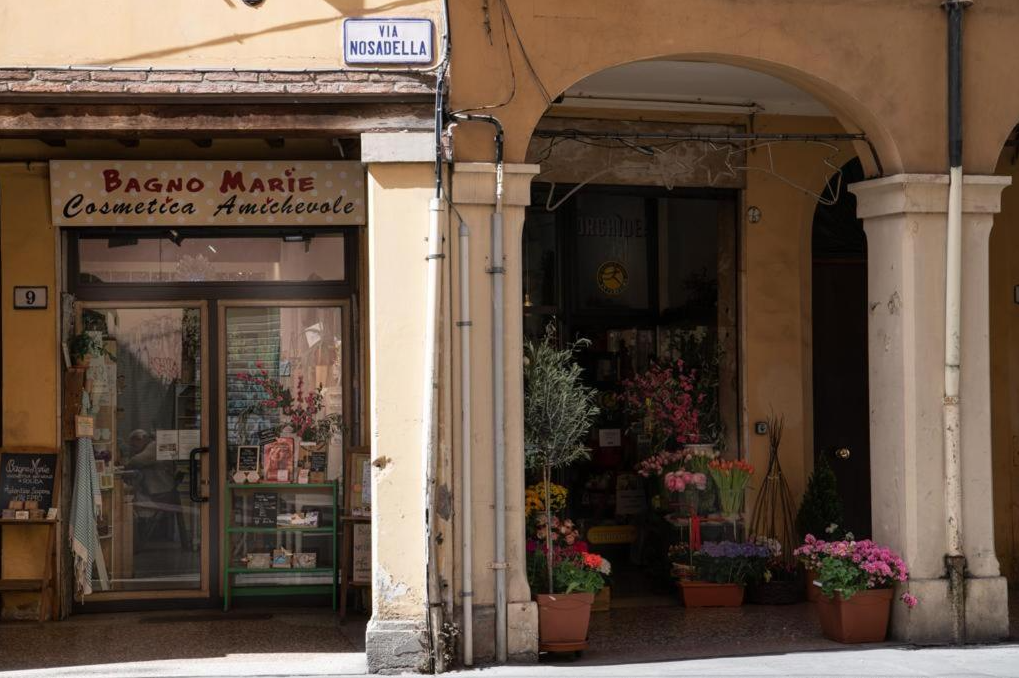 Studio Neve, Bologna