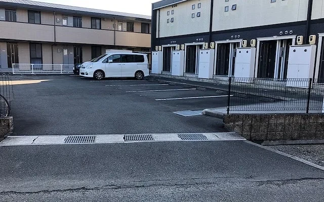 レオネクストウェリナ 1