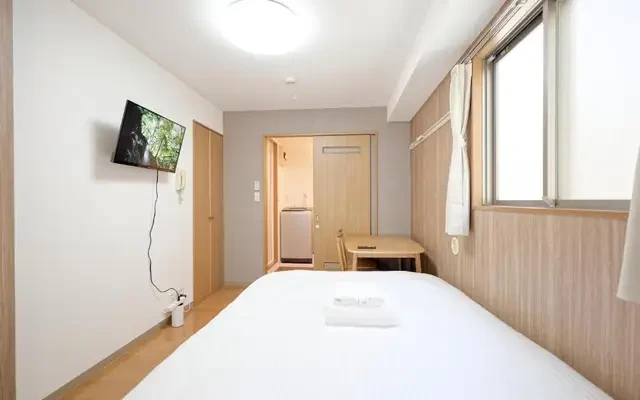 Mi-APT MIDORI 4