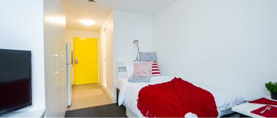 Studio Regular Apartment