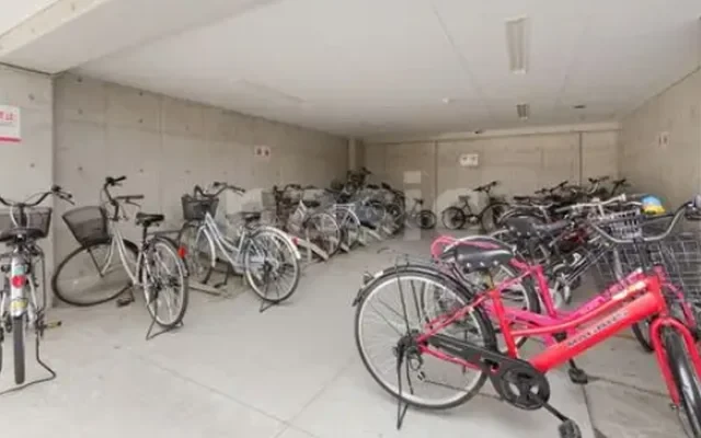 Illustration by S. Tsujio 3