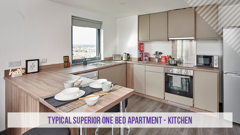 Superior Plus 1 bed Apartment