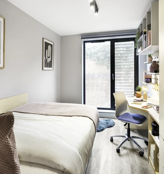 Aster House