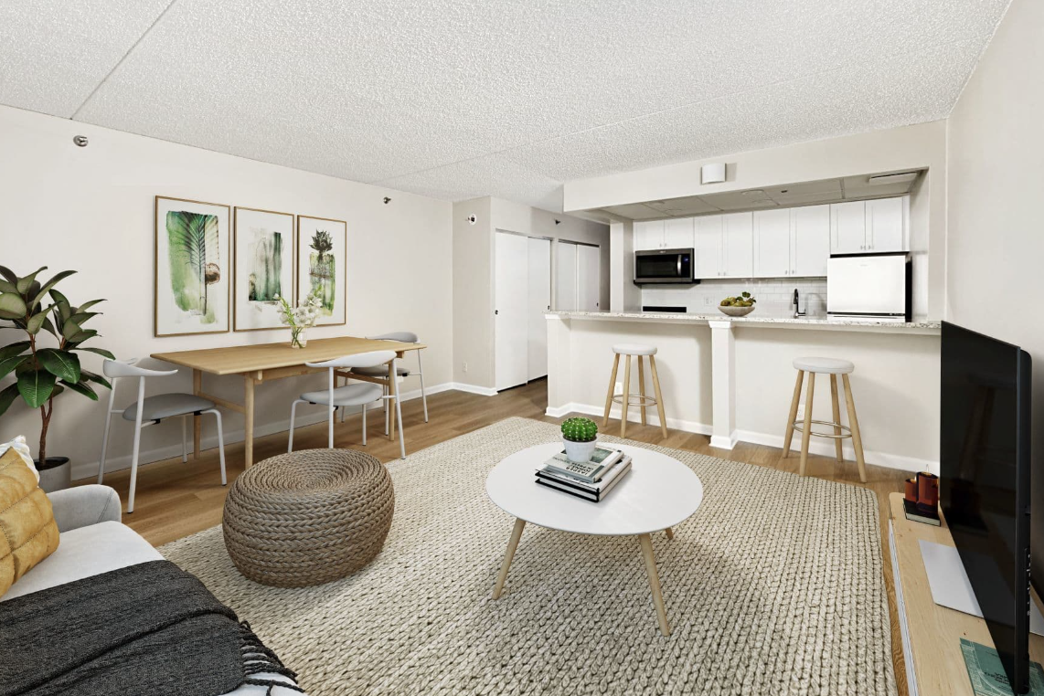 1 Bed 1 Bath The Madison I