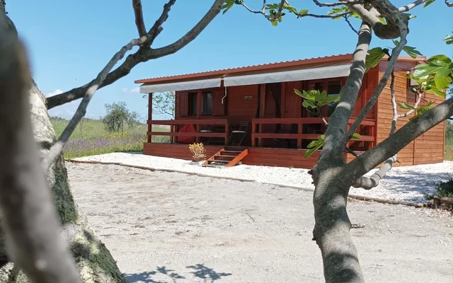 CASA DA MINA - Cozy Eco-Lodge in private sustainable family property amidst nature in Baixo-Alentejo Inland - PORTUGAL 2