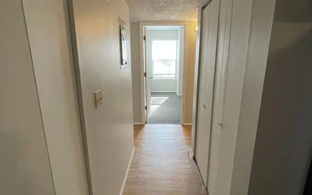 809 W Springfield, Urbana, IL 61801 4