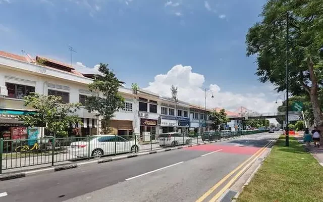 Hmlet Tanjong Katong 0