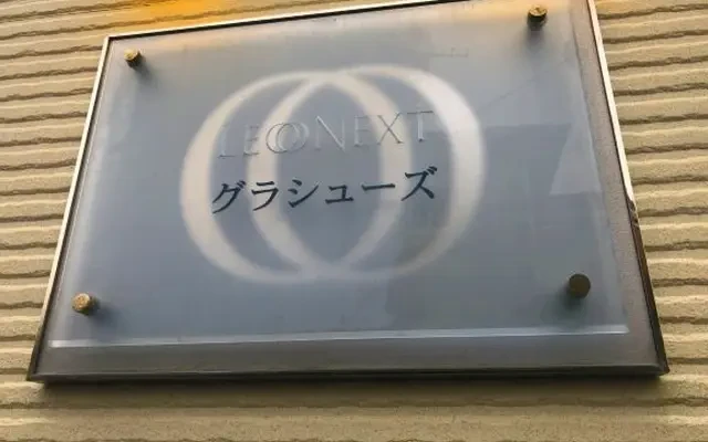 レオネクストグラシューズ 3