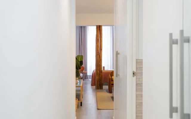 Arganzuela 2.2 (Studio) 4