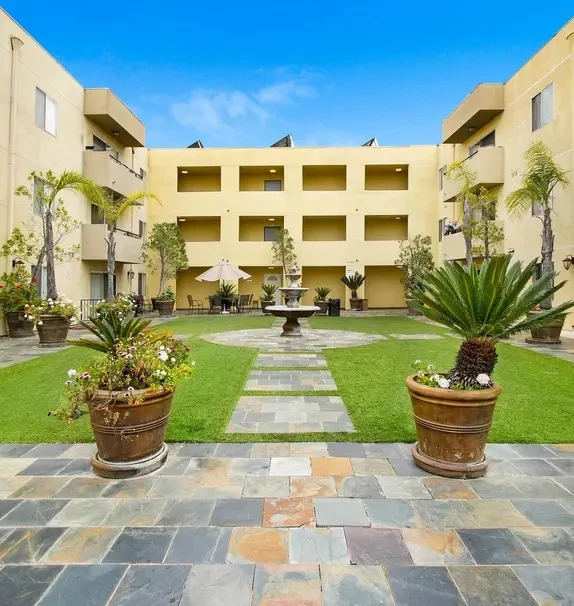 Valerio Palms