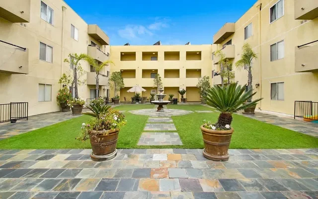 Valerio Palms 0