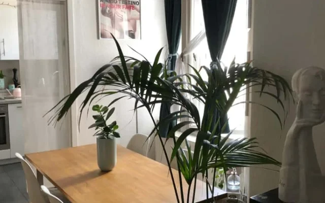 Apartment in Prenzlauer Berg 3