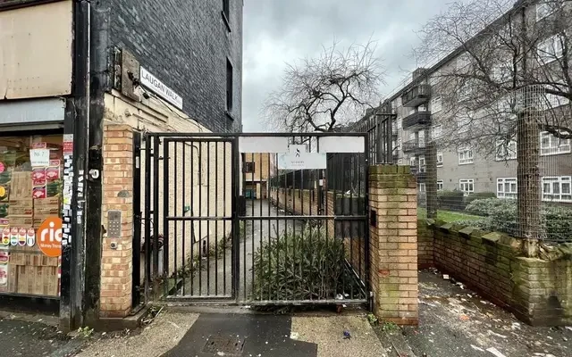 Laugan Walk 30194# 2