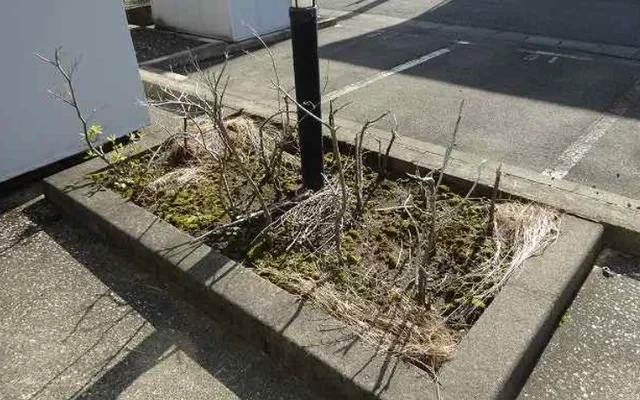 レオパレス春 2