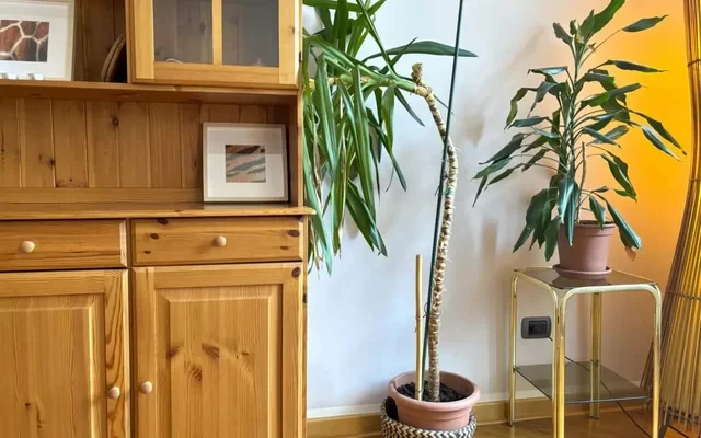 Flat Belpoggio 13 4