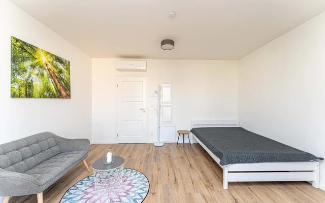 One room apartment 1